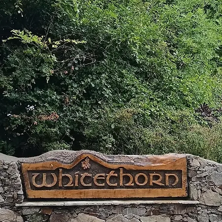 Appartement Whitethorn